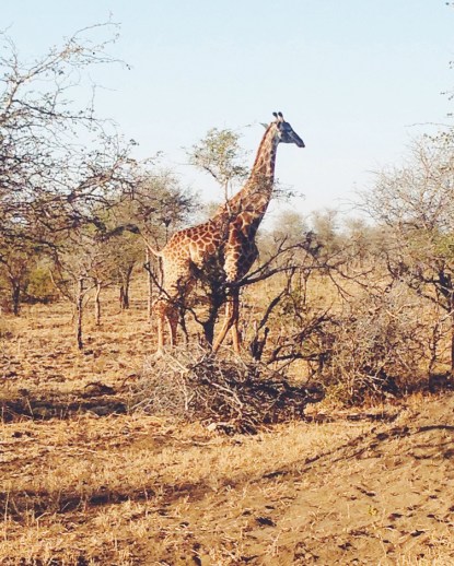 Processed with VSCO with f2 preset