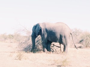 Processed with VSCO with c1 preset