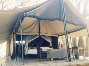 Our little camp out spot in the Manyaleti recommended by Peter Smailes!